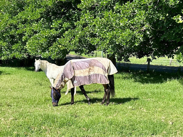 Dan loves his life at Daybreak Farm.