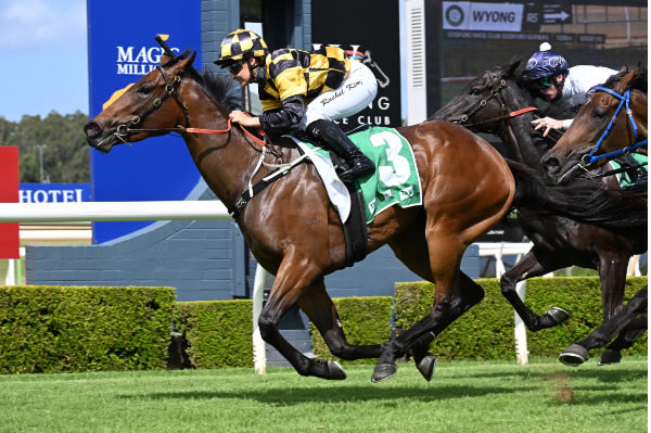 Dance to the Boom wins the Gosford Guineas - image Steve Hart 