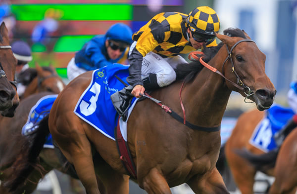 Dance to the Boom wins the G3 HKJC Stakes - image Grant Courtney