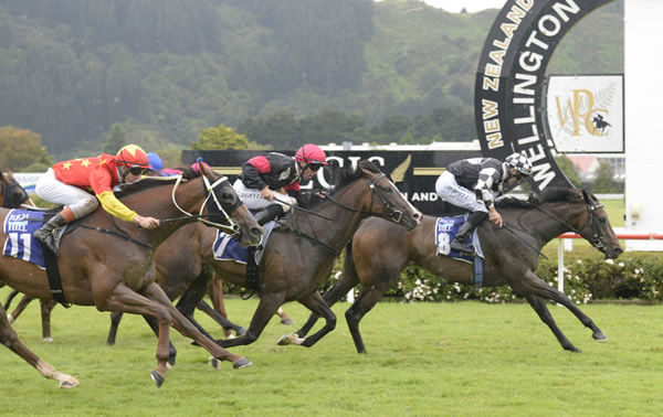  Darci La Bella defeats Coventina Bay as she wins the Gr.2 Bramco Granite and Marble Manawatu Challenge Stakes (1400m) at Trentham Photo Credit: Race Images – Peter Rubery