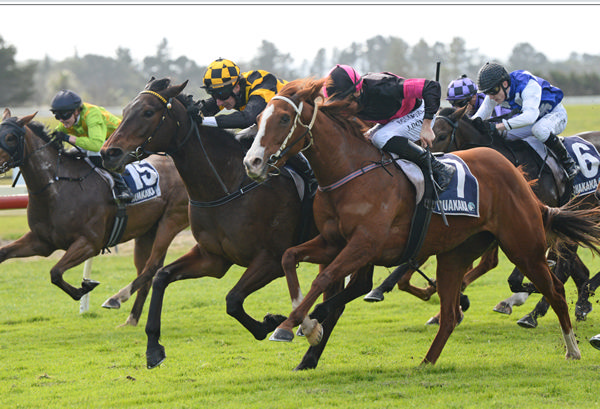 Daring Dame (centre) winning at Ruakaka on Wednesday.  Photo: Therese Davis (Race Images)