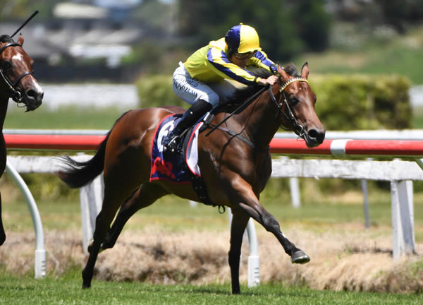 Dashing Dixie winning on debut at Te Rapa on Saturday. Photo: Kenton Wright (Race Images)