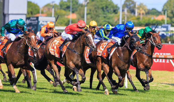 Daumier defeats Revolutionary Miss and Jacquinot to win the G1 Blue Diamond Stakes - image Grant Courtney