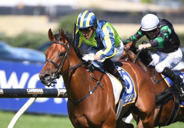 Day One winning at Ellerslie on Thursday. Photo: Kenton Wright (Race Images)