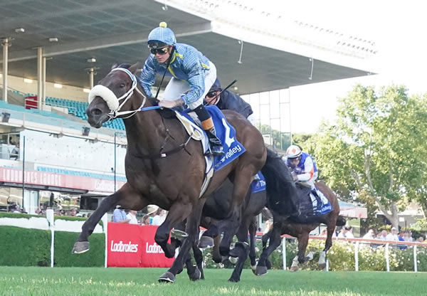 Daytona Bay wins at Moonee Valley - image Scott Barbour / Racing Photos