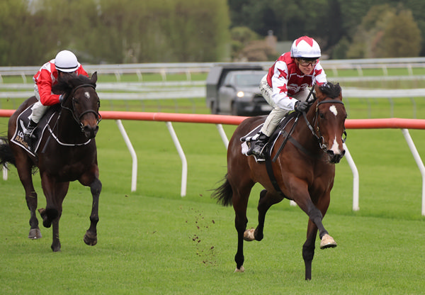 De Armas winning on debut at Otaki on Friday.  Photo: Peter Rubery (Race Images Palmerston North)