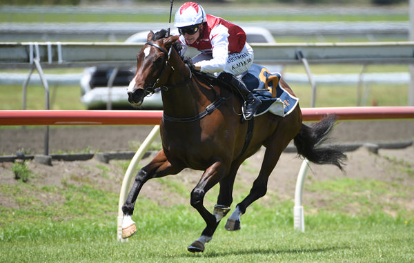 De Armas added black type to her unbeaten record in Saturday's Listed Counties Challenge Stakes (1100m).   Photo: Kenton Wright (Race Images)