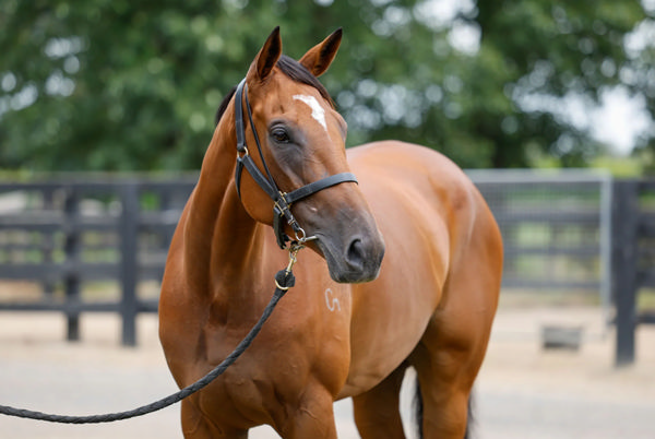 Deadly Desire sold for $140,000.