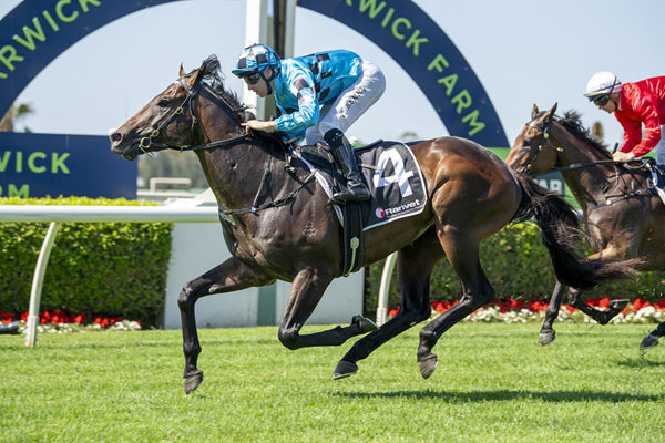 Consecutive Wins For Switzerland's Brother Decorum - Image Bradley Photos