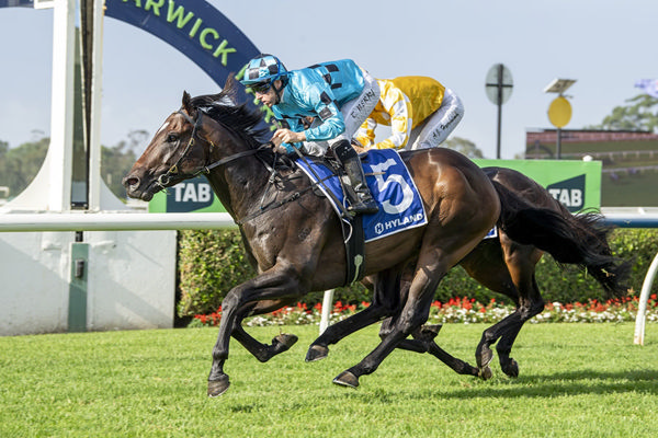 Three Straight For 3YO Snitzel Colt Decorum - Image Bradley Photos