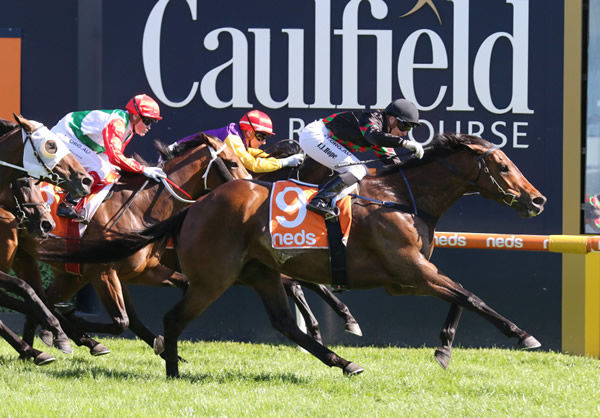 Defibrillate wins the Lord Stakes - image Bruno Cannatelli.