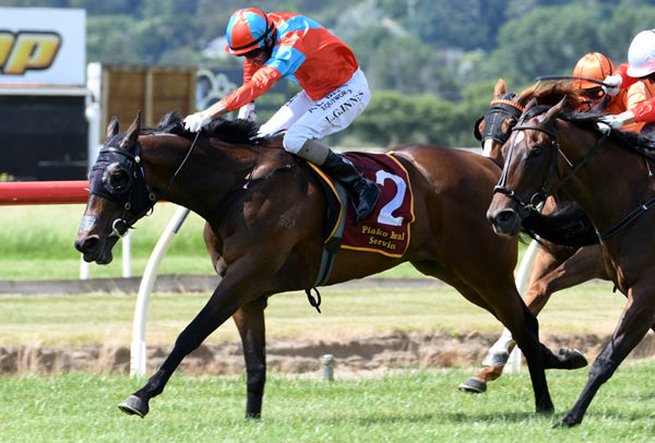 Leith Innes gets to work on Demonetization as they win the Gr.3 Eagle Technology Stakes (1600m) Photo: Race Images – Kenton Wright