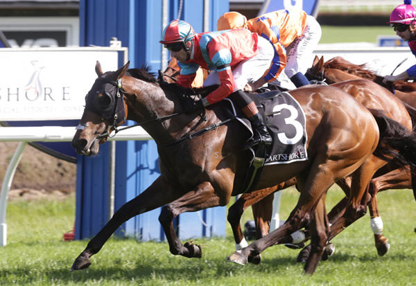 Craig Zackey guides Demonetization to victory in the Gr.2 Gartshore Tauranga Stakes (1600m) Photo: Trish Dunell