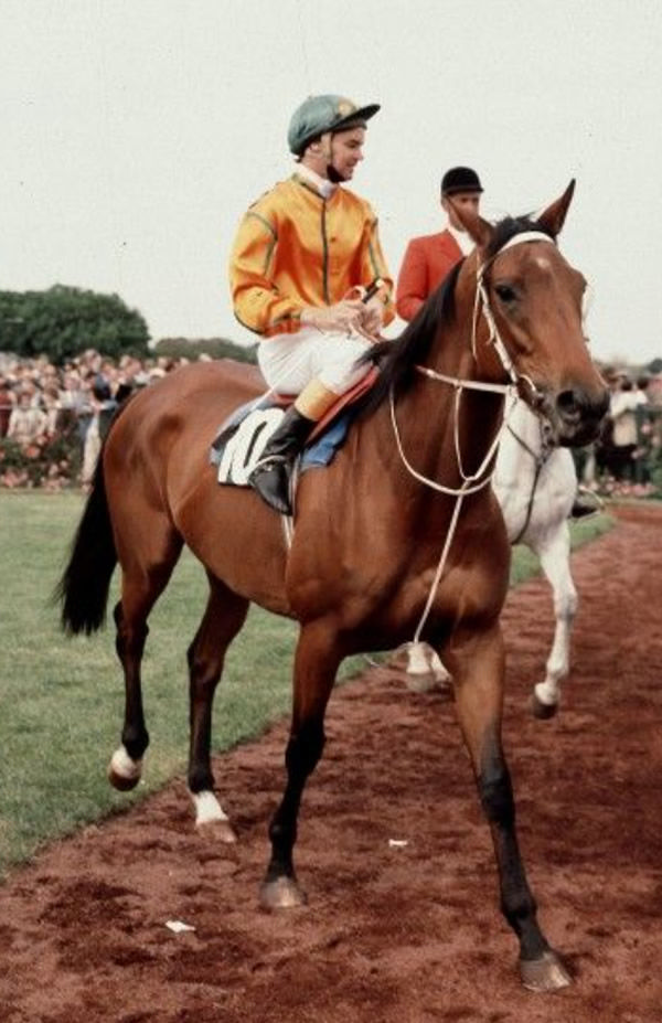 Denise's Joy was one of the greatest winners of a Widden Stakes as it was the starting point for an illustrious career both as a racehorse and broodmare.