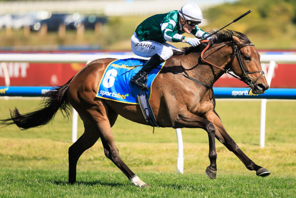 Deny Knowledge (IRE) is in career best form - image Grant Courtney