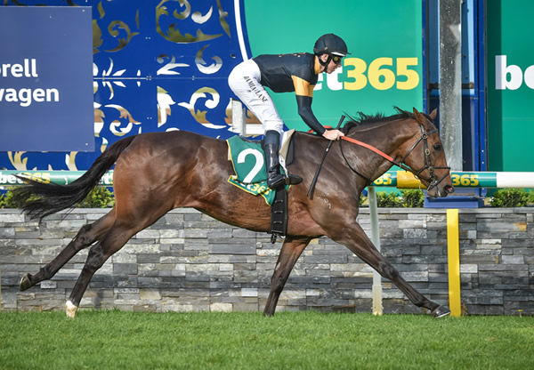 Deny Knolwedge wins the $150,000 Country Oaks by daylight - image Reg Ryan / Racing Photos 