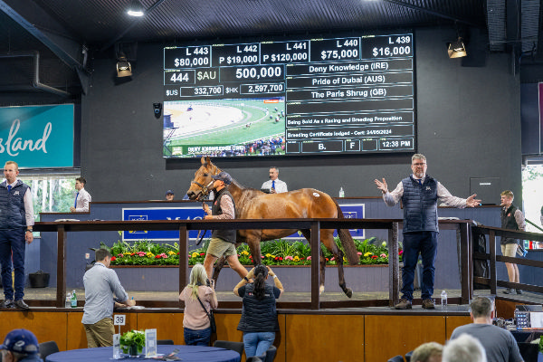 Deny Knowledge was a savvy purchase for Yulong at the MM Broodmare Sale.