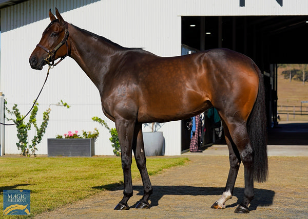 Deep Sceiva is a stakes-placed winner of nearly $200,000.