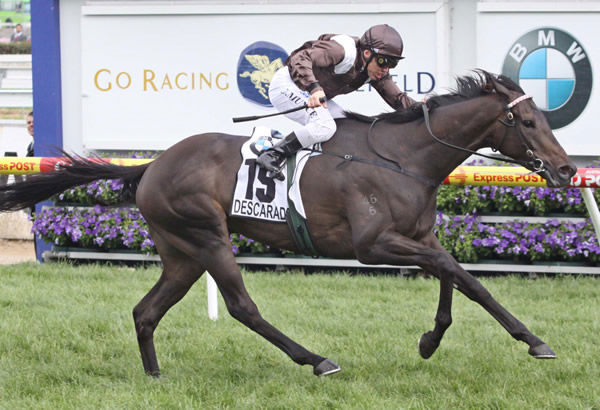 Descarado was a Kiwi tried horse success story for the Waterhouse stable. 