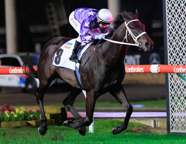 Desert Icon scores a commanding win in the G3 JRA Cup -image Grant Courtney