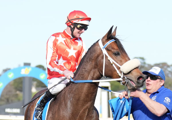 Desert Lightning is now a Group winner in Australia - image Scott Barbour / Racing Photos