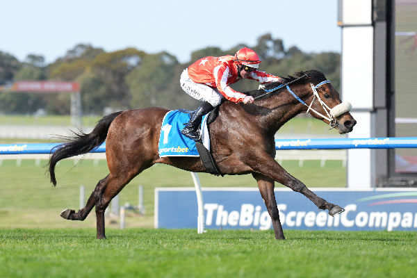 Desert Lightning wins the G3 Sandown Stakes - Scott Barbour / Racing Photos