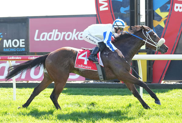 Desert Star salutes on debut - image Scott Barbour / Racing Photos