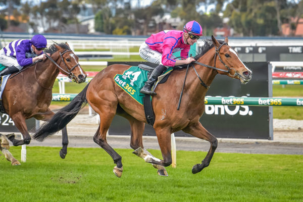 Nice filly - Desiah (image Reg Ryan/Racing Photos)