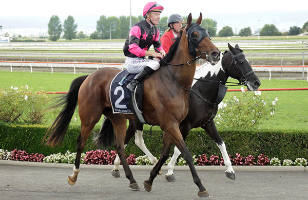 Diamond Jak returns victorious following the Listed Matamata Veterinary Services Kaimai Stakes (2000m). Photo: Kenton Wright (Race Images)