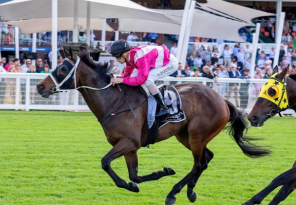 Diamond Scene wins his first stakes race - image Western Racepix