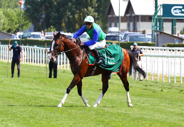 Diego Velazquez - image supplied