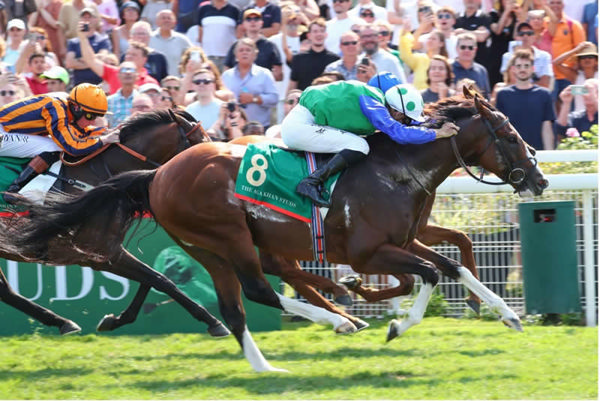 Diego Velazquez is a G1 winning miler - image supplied