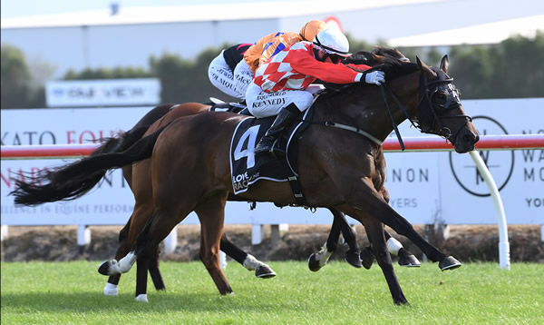 Warren Kennedy drives Dionysus to victory in the Gr.3 SkyCity Hamilton Waikato Cup (2400m) at Te Rapa. Photo: Kenton Wright (Race Images)