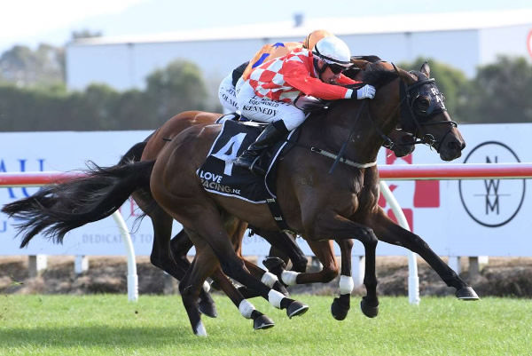 Dionysus will contest Saturday's Listed The New Zealand Bloodstock Beauford (2300m) at Newcastle.  Photo: Kenton Wright (Race Images)