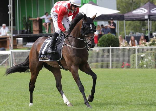 Warren Kennedy picked up a winning treble at Te Rapa including victory aboard Dionysus in the Gr.3 Windsor Park Stud Queen Elizabeth II Cup (2400m) Photo Credit: Trish Dunell