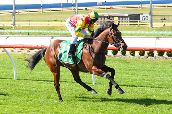 Direct opens his account with an easy win at Cranbourne - image Pat Scala / Racing Photos