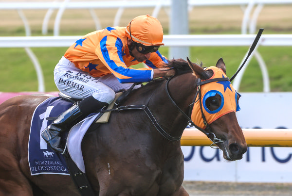 Discretion Rules wins the Listed Berkley Stud Champagne Stakes (1200m).   Photo: Race Images South