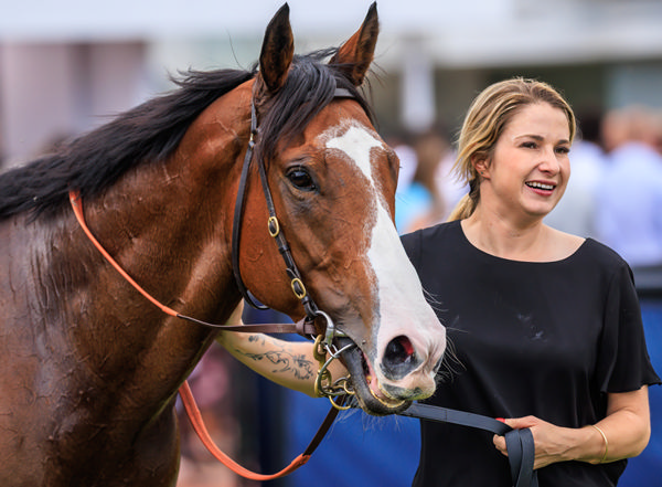 Disneck is a new stakes-winner for Trapeze Artist - image Grant Courtney