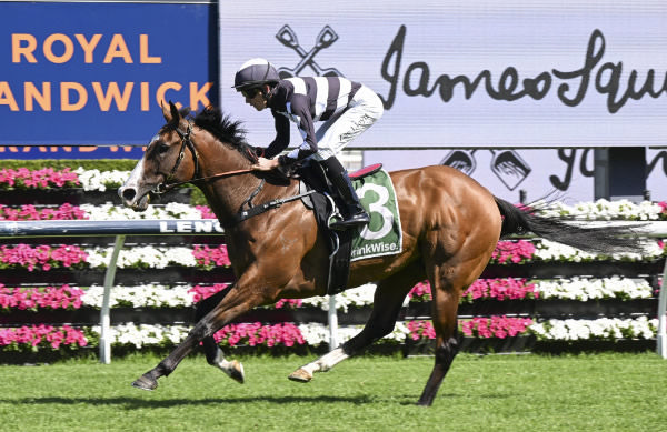 Disneck goes from last to first at Randwick - image Steve Hart