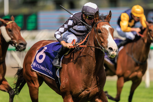 Disneck scores his first Black Type win - image Grant Courtney