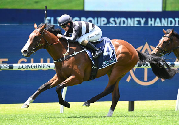 Disneck scores at Rosehill to be the first winner for Champion 3YO Trapeze Artist - image Steve Hart