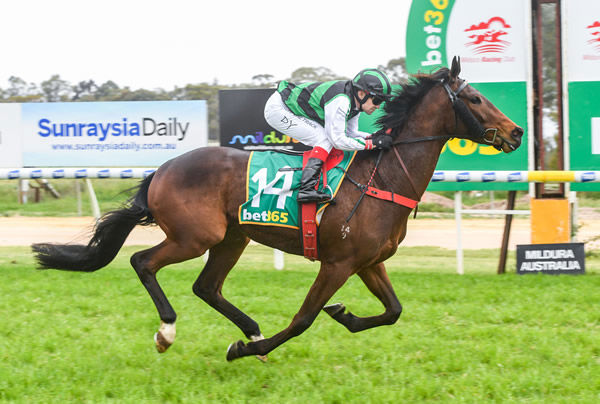 Is Distrustful Award the next star stayer for Shamus Award? - image Brett Holburt / Racing Photos