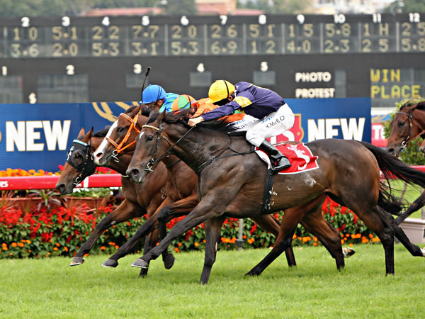 Divine Rebel powers home in GrII Chairman's Hcp (Image Mark Smith)