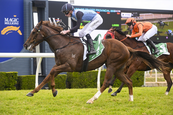Divo opens his account at Wyong - image Bradley Photography