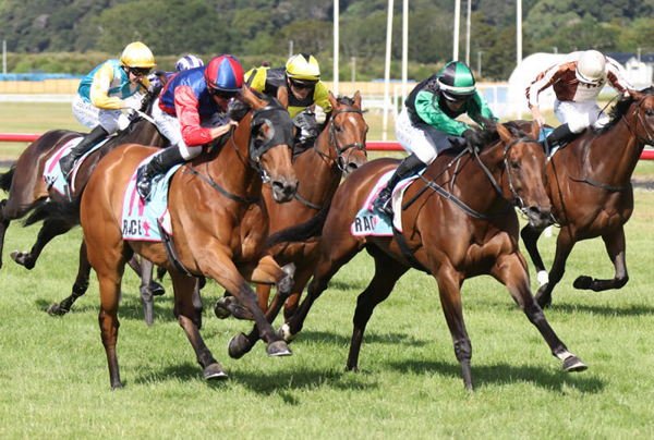 Doctor Askar (outside) winning the Gr.2 Harcourts Thorndon Mile (1600m) at Trentham on Saturday.  Photo: Peter Rubery (Race Images)