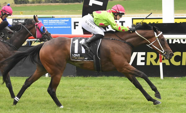 Doddle winning the Harcourts Taupo Cup (2000m).   Photo: Kenton Wright (Race Images)