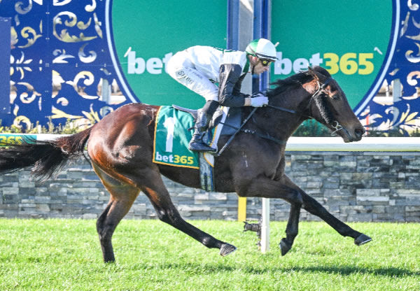 Dom wins by daylight at Geelong - image Reg Ryan / Racing Photos