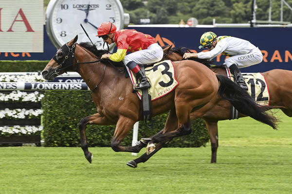 Don Corleone is looking to become the third G1 winner for Extreme Choice - image Steve Hart 
