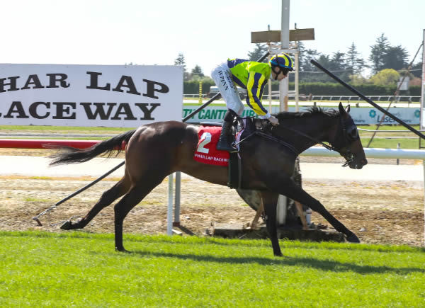 Don Chiara winning at Phar Lap Raceway on Wednesday. Photo: Race Images South