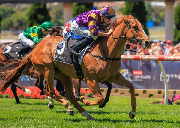 Double Market wins the G2 Fillies Classic - image Grant Courtney